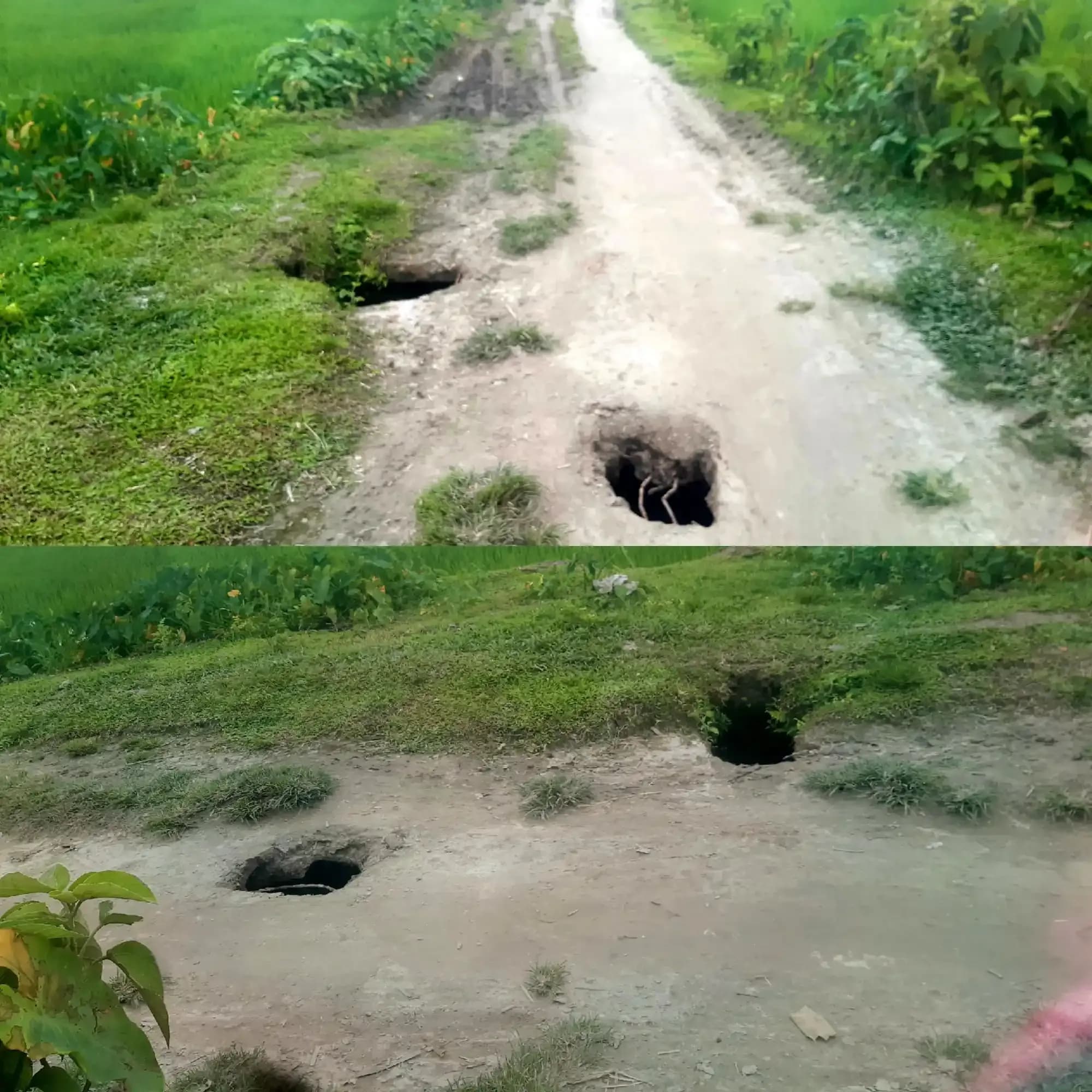 ডিমলার ছাতনাই বালাপাড়া চাকদাবাঁশ গ্রামে মরণফাঁদে পরিণত হয়েছে সড়ক: যেকোনো সময় বড় দুর্ঘটনার আশঙ্কা