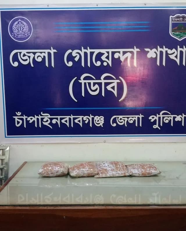 চাঁপাইনবাবগঞ্জে ডিবির অভিযানে ০২(দুই) কেজি হেরোইন উদ্ধার আসামি পলাতক